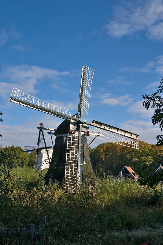 Original image