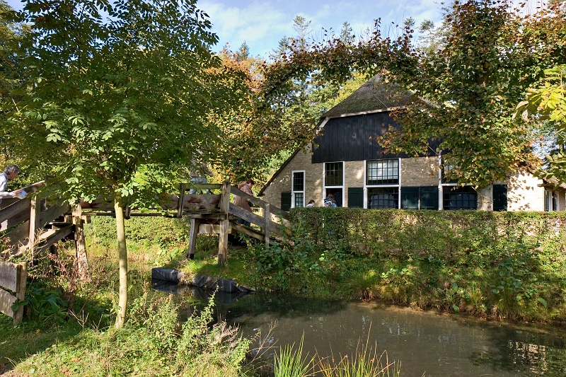 Original image