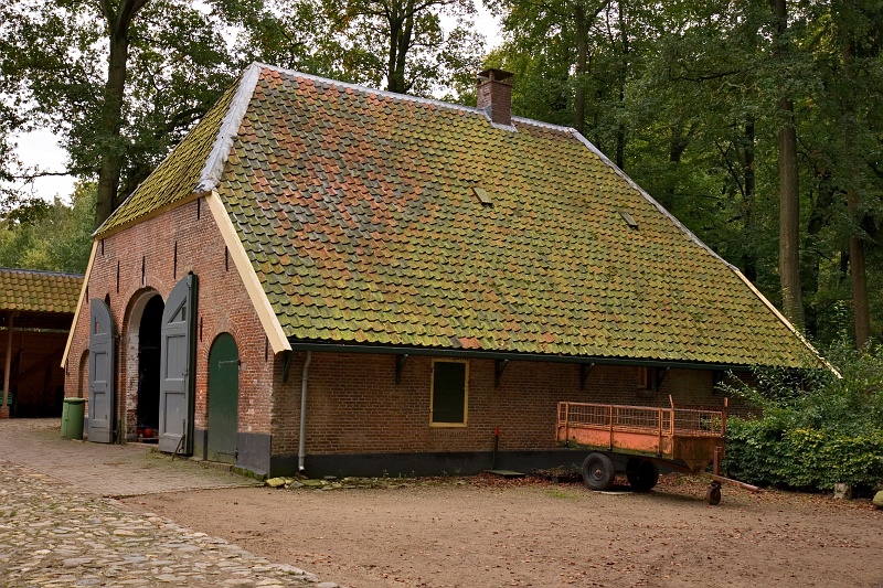 Original image
