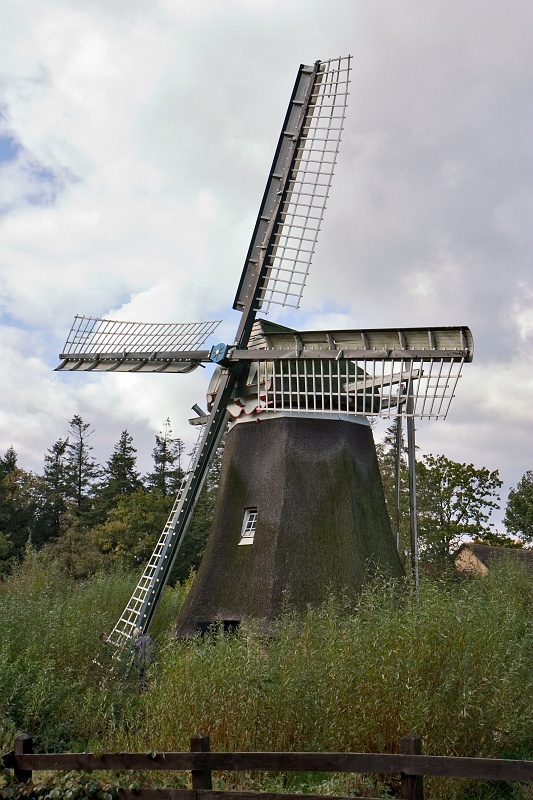 Original image