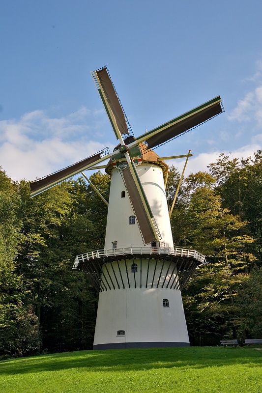 Original image