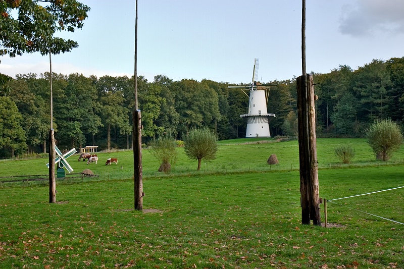 Original image